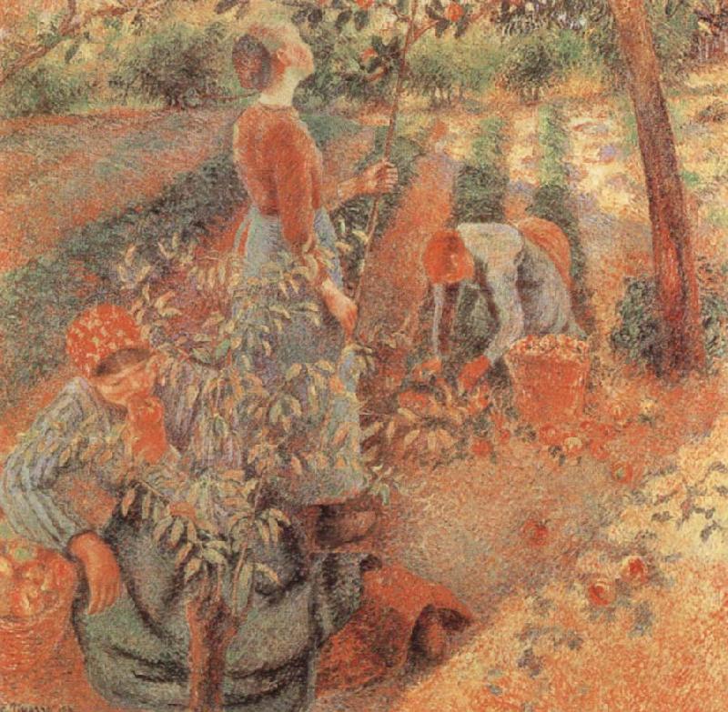 Camille Pissarro Apple picking china oil painting image